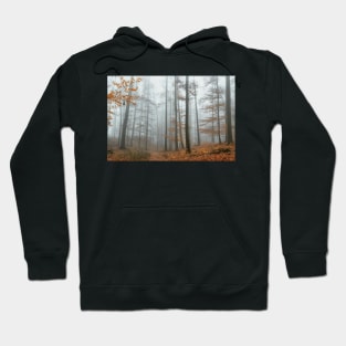 Autumn Mood, Forest with Fog. Hoodie